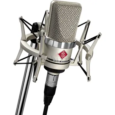 Neumann-TLM 102 Large Diaphragm Studio Condenser Microphone with Shock Mount