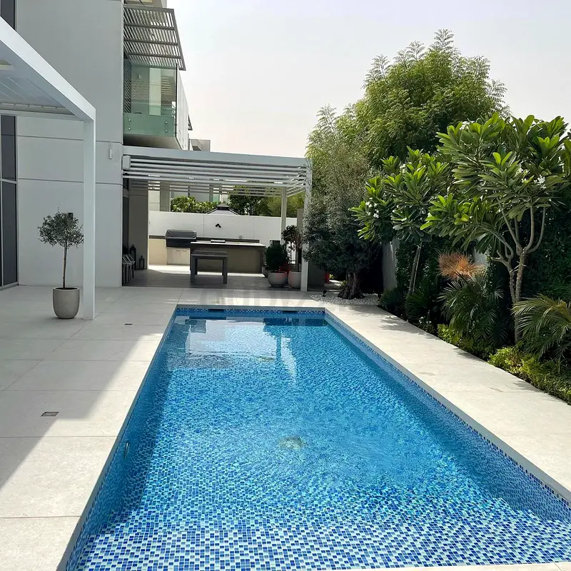 DPV_View_Image_3