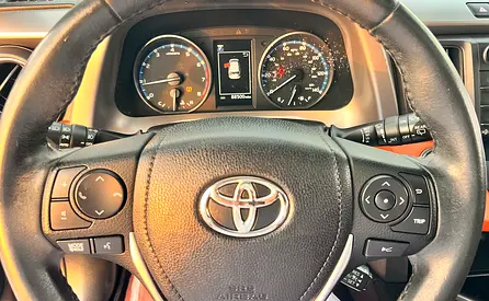 2018 Toyota RAV 4 照片 16