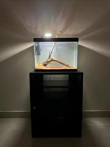 COMPLETE HARDSCAPED TANK FOR SALE!!!