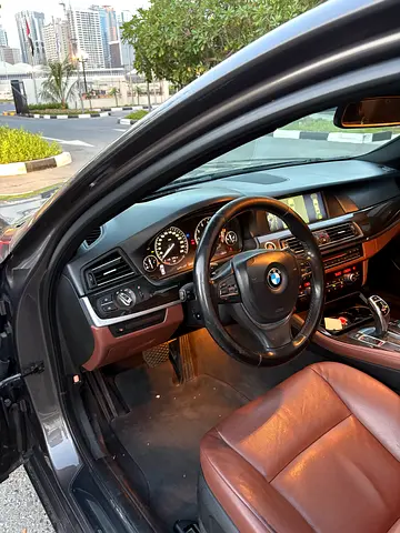 2013 BMW 5-SERIES 缩略图 18