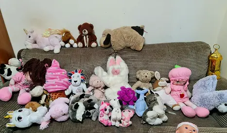 Large Lot of Mixed Soft Plush Toys - Good Condition