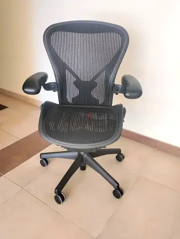 Herman Miller Classic Ergonomic Mesh Office Chair (Adjustable Arms & Lumbar Support)
