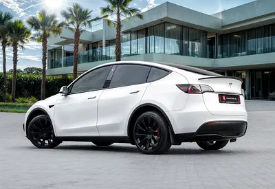 2024 Tesla MODEL Y — миниатюра 3