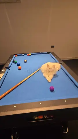 Pool / Billiards Table - Good Condition (with cues and balls)