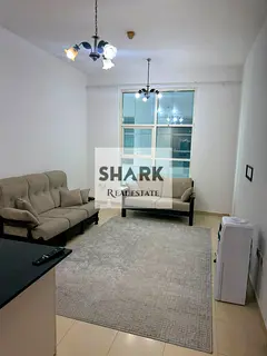 Lowest Price 1BR | City Towers | AED 295K