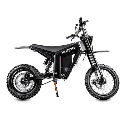 E-BIKE FOR SALE | WISH01