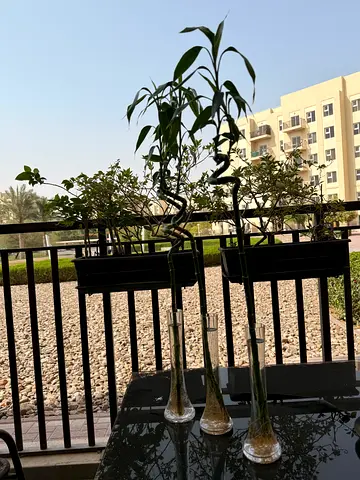 Flower vase
