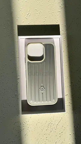 17 pro Branded case