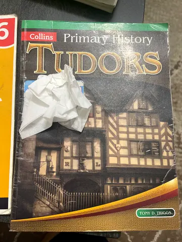Collins primary history