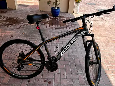 Mountain bike (Adore) - good condition, ready to ride