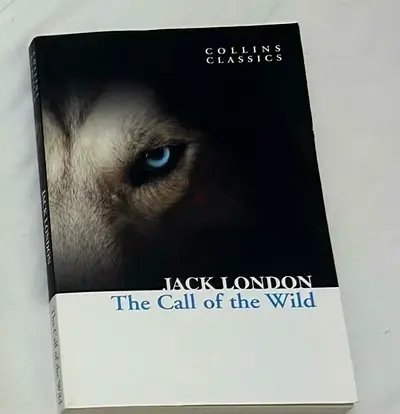 Call of the wind book brand new