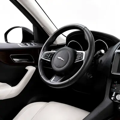 2020 Jaguar F-PACE 照片 10