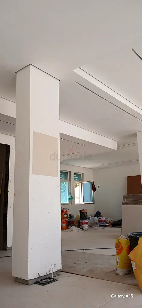 DPV_View_Image_2