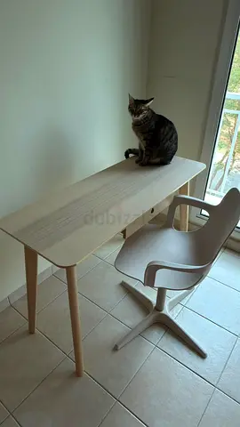 IKEA LISABO Desk + ODGER Swivel Chair for Sale