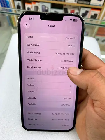 iPhone 13 Pro Max 256GB