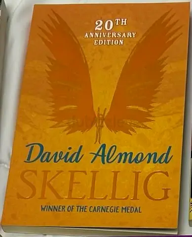 Skellig children book brand new