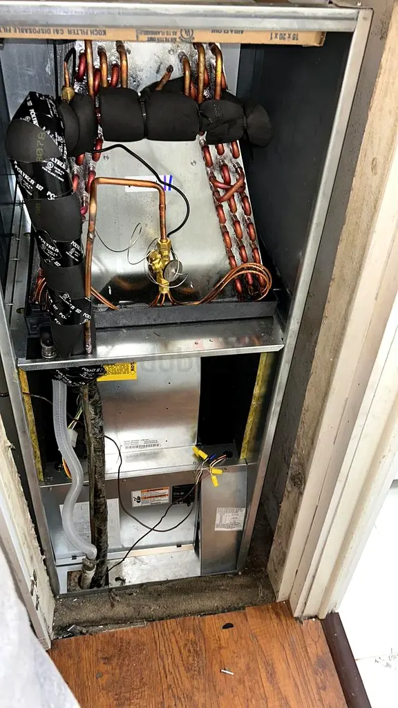 DPV_View_Image_2