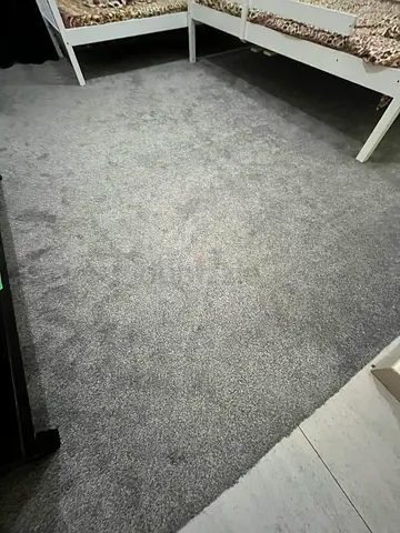 Soft Grey Large Carpet – Good Condition