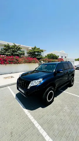 2015 Toyota PRADO — фото 6