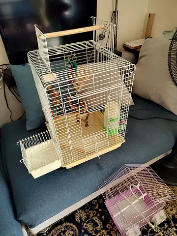 Parrot Bird Cage big size with Complimentary Bird toys Accessories and additional smaller cage
