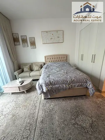 استديو مفروش سوبر كلاس بجزيرة مريم