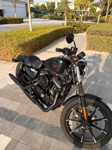 2021 Harley-Davidson Iron 883 | Only ~300 KM | Like New