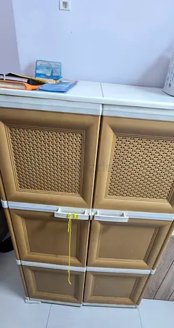 Plastic Storage Cabinet with Shelves for URGENT SALE