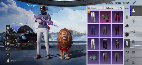 PUBG Mobile account with outfits, lion companion and cosmetics