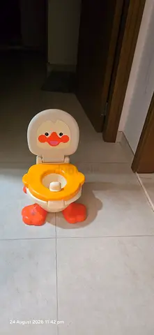Baby potty seat