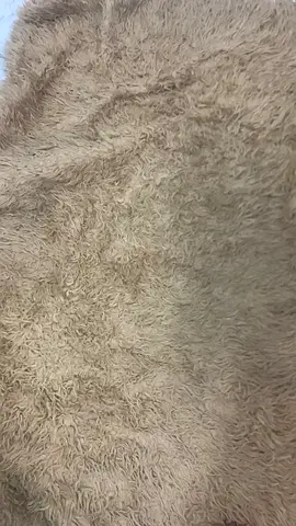 Large Beige Shaggy Area Rug