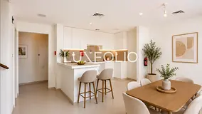 Great Condition | Amazing Location | Type 2