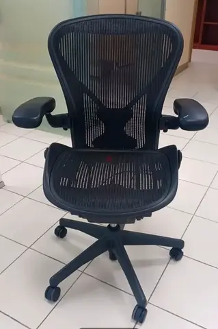 Herman Miller Ergonomic Mesh Office Chair with Adjustable Arms and Lumbar Support
