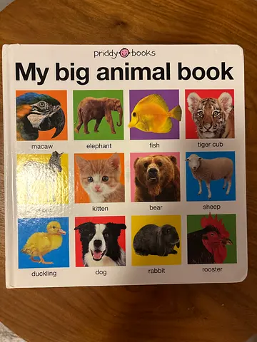 baby book