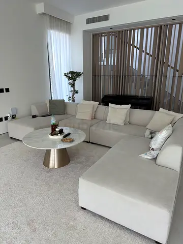 Living room set (couch and coffee table)