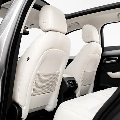 2020 Jaguar F-PACE 照片 12
