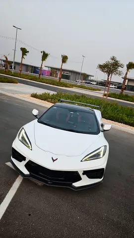 stingray