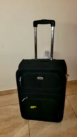 VIP hand luggage