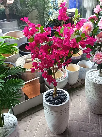 Artificial plants