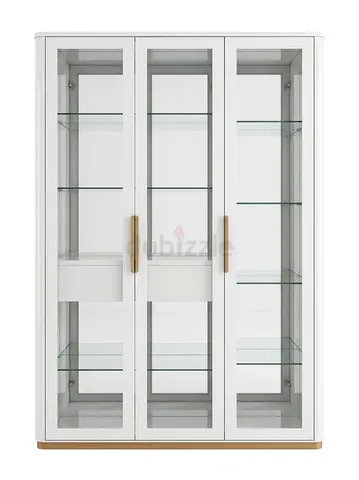 Glass Door Display Cabinet for your wardrobe or dining area
