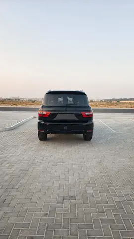 2019 Nissan PATROL 缩略图 5