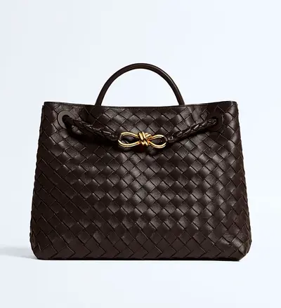 Bottega Veneta Ladies Bag