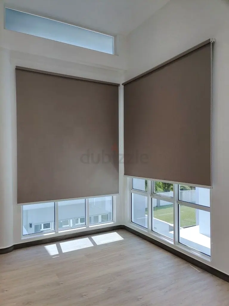 DPV_View_Image_2