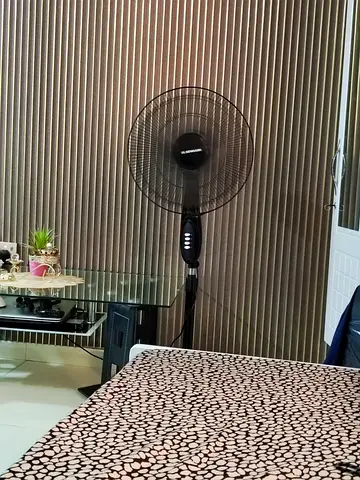 Black Adjustable Electric Stand Fan