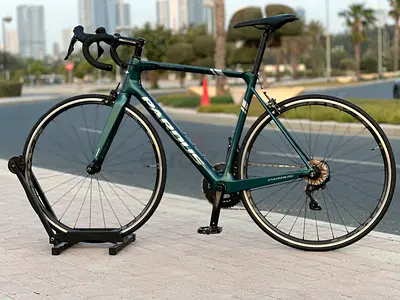 Pardus robin carbon Roadbike