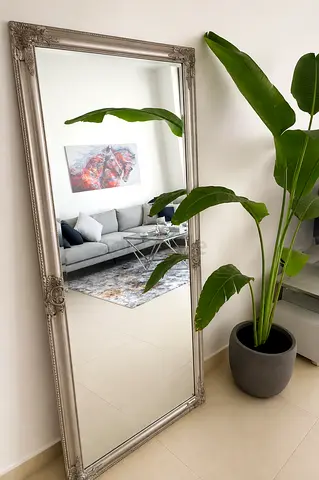 Full-Length Ornate Silver Floor Mirror - Good Condition comes with plant for free