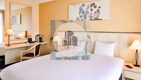 Spacious Beautiful Fully Furnished Studio With Kitchen