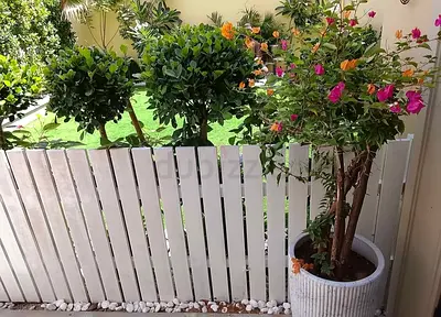 Wooden Fence