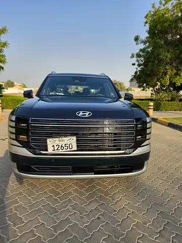 Hyundai Palisade Calligraphy, миниатюра 2
