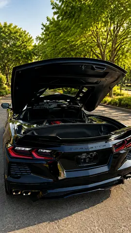 2020 Chevrolet CORVETTE — фото 6
